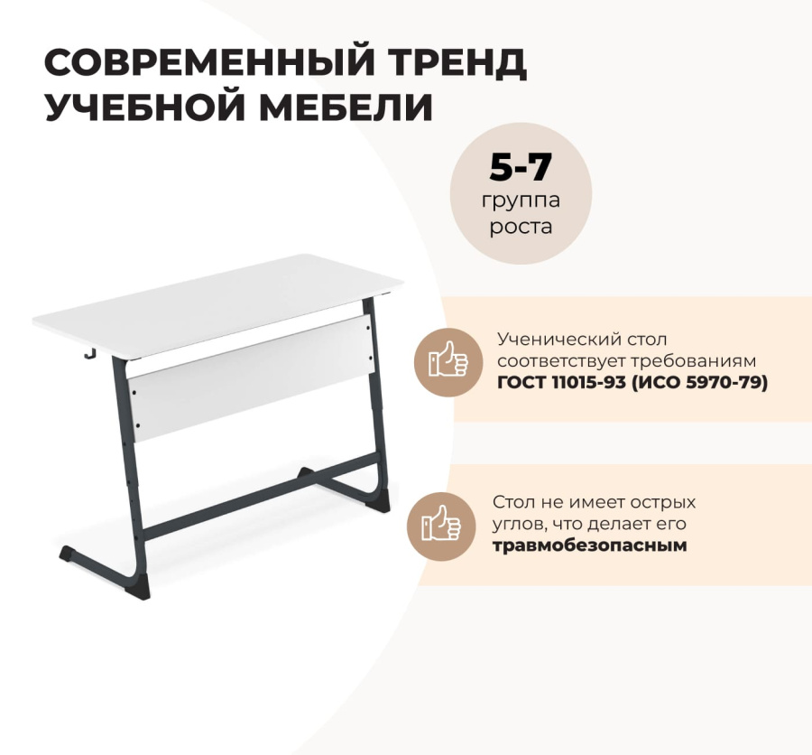 Cтол ученический береза/антрацит SHT-TN12/5-7