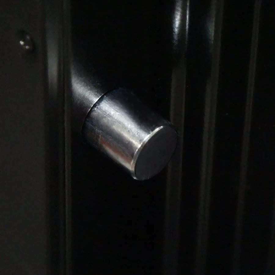 Сейф Lucell LU-2000BP1 FP «ПОЦЕЛУЙ» Густава Климта